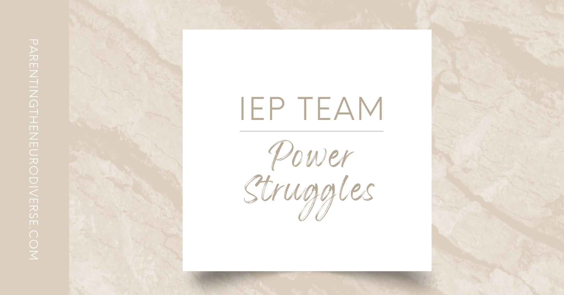 IEP Power Struggles